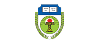 Dagon University